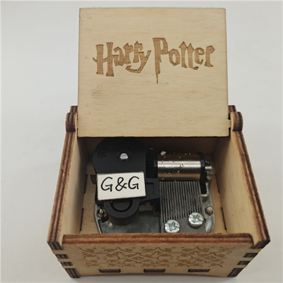 Harry Potter Series 21