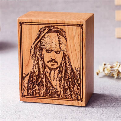 Pirates Caribbean Series 15