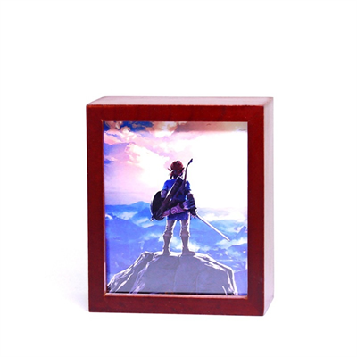 Legend of Zelda Series 13