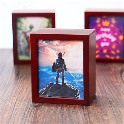 Legend of Zelda Series 18